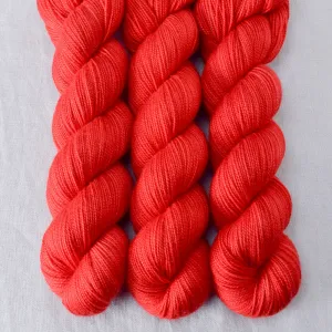 Ardor - Yummy 2-Ply