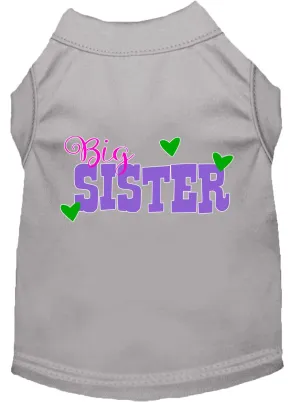 Big Sister Screen Print Dog Shirt Grey Med