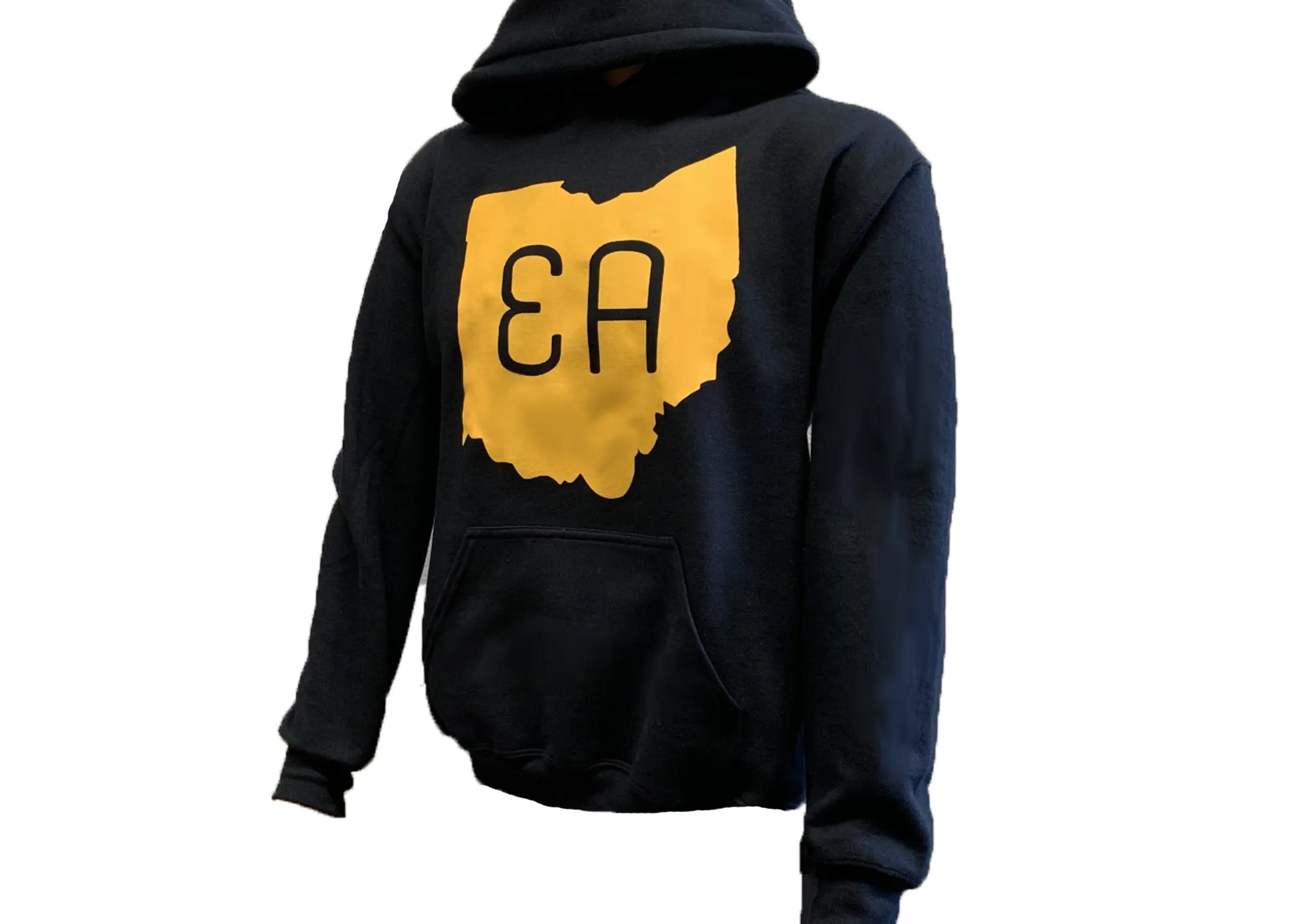 Education Alternatives State Hooded Sweatshirt